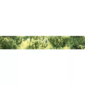 Бордюр Муза-Керамика Waterfall mountains зеленый B300D259 30х4,5