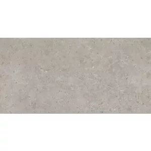 Керамогранит Kerama Marazzi Риккарди серый светлый матовый обрезной SG519920R 119,5х60 см