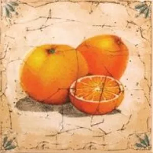 Декор Сокол Гурман апельсин (D-493) 16,5х16,5 см
