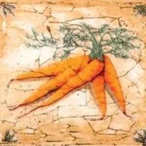 Декор Сокол Гурман морковь (D-496) 16,5х16,5 см