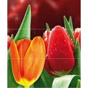 Панно Cerrol Syntia Tulip А из 3пл 60х50