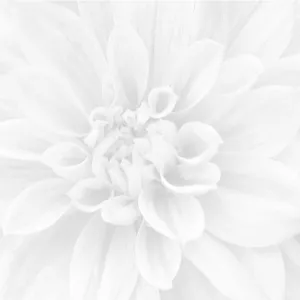 Панно Laparet Crisantemo из 3-х шт 36-05-00-463-0 60х60 см