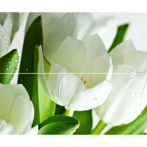 Панно Polcolorit Arco Verde Tulipan (из 2-х пл.) 50x60